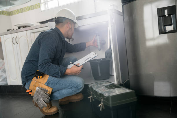 Best Local Plumber Services  in Tomah, WI